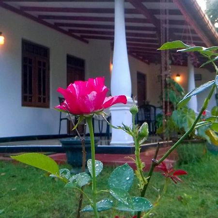 Danara Homestay Sigirîya Extérieur photo