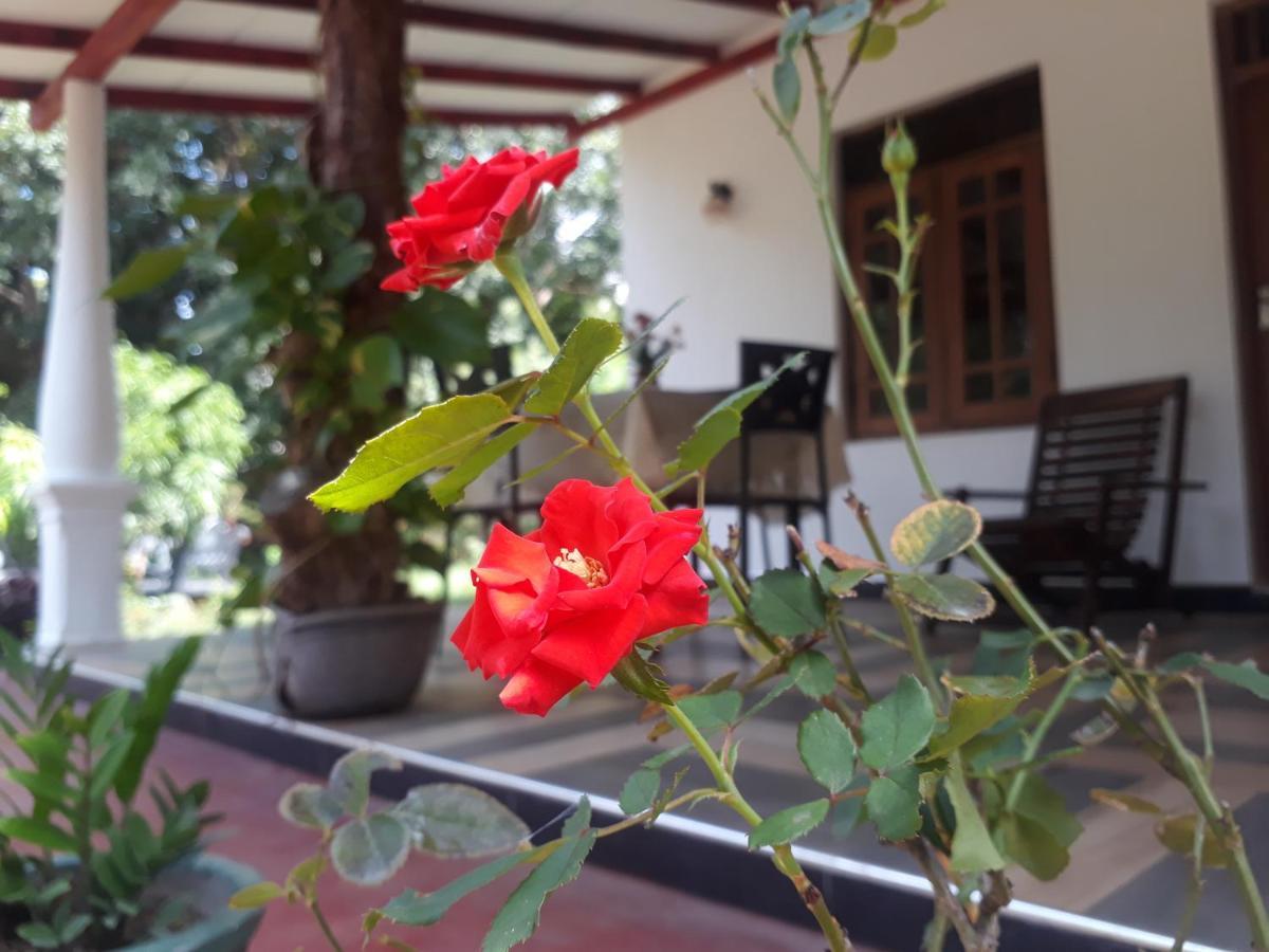 Danara Homestay Sigirîya Extérieur photo