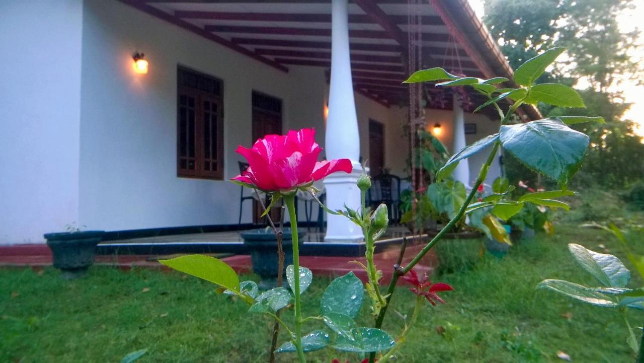 Danara Homestay Sigirîya Extérieur photo